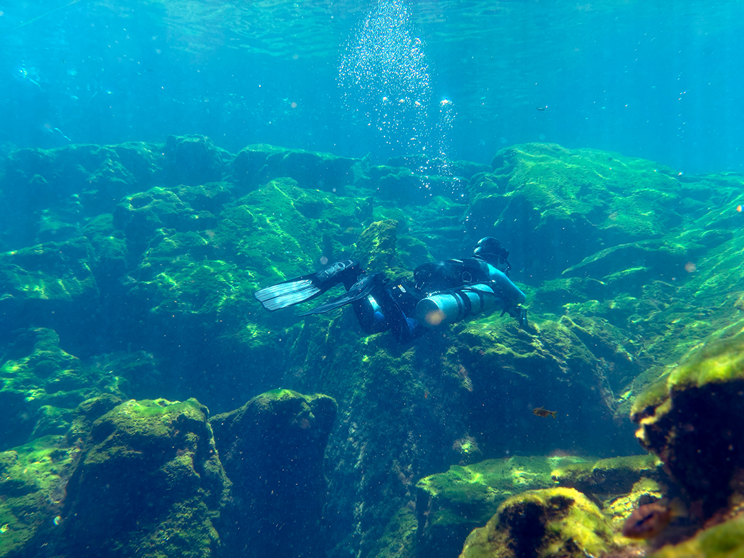 Cenote Eden