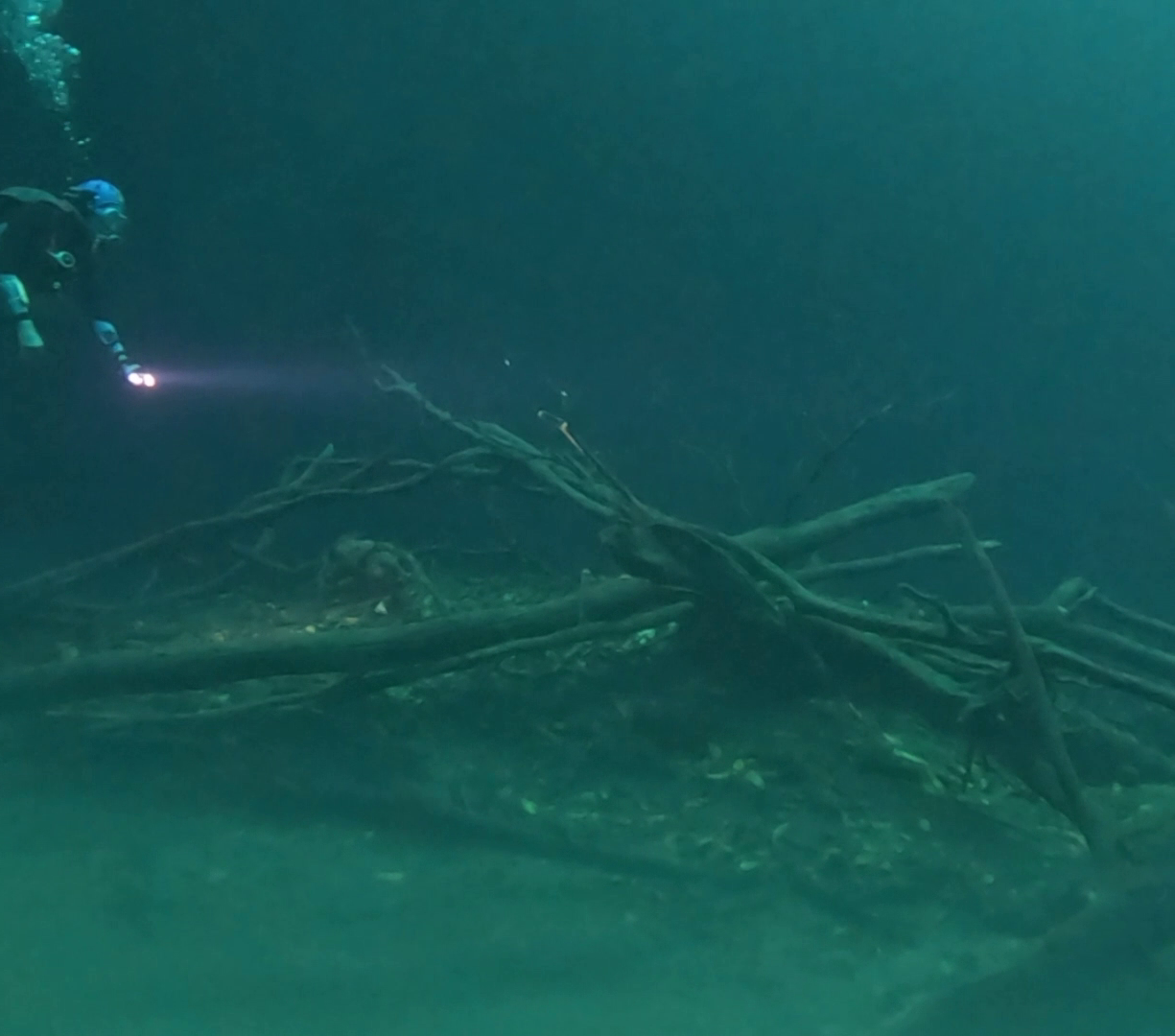 CENOTE ANGELITA (4)