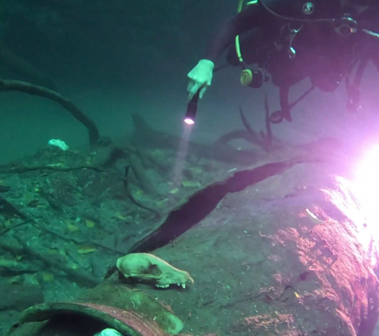 CENOTE ANGELITA (6)