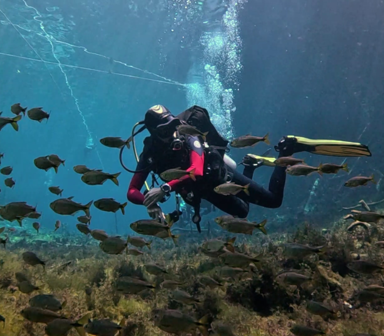 CENOTE CAR WASH (10)