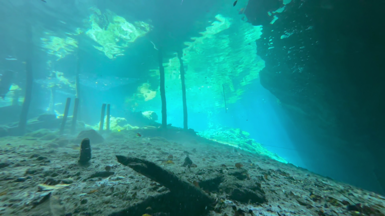 CENOTE DREAMGATE (1)
