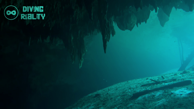 CENOTE DREAMGATE (2)