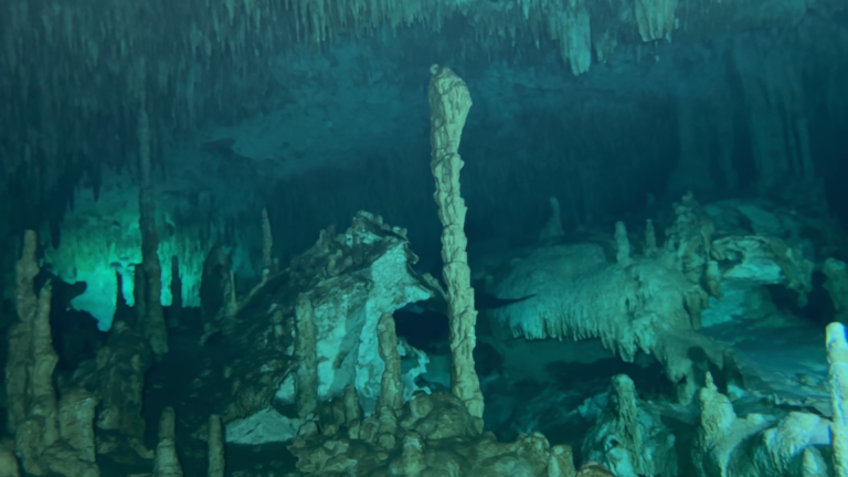 CENOTE DREAMGATE (6)