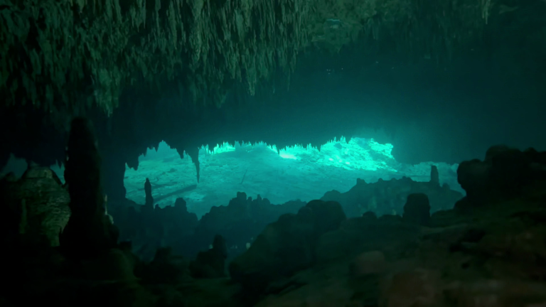 CENOTE DREAMGATE (8)