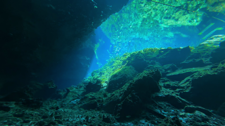 CENOTE NICTE HA (3)