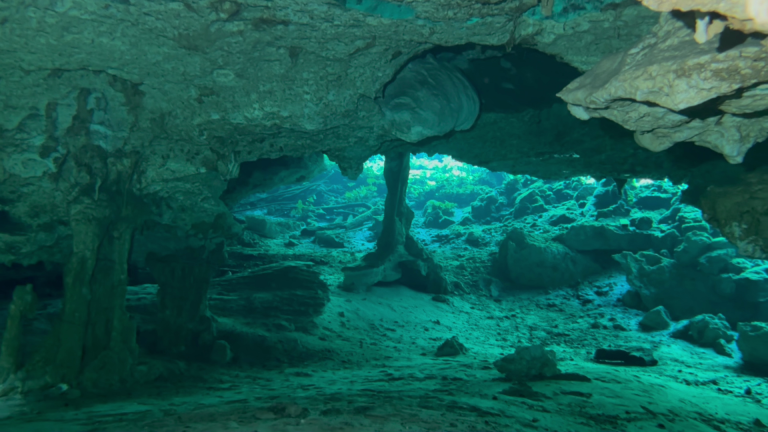 CENOTE NICTE HA (7)