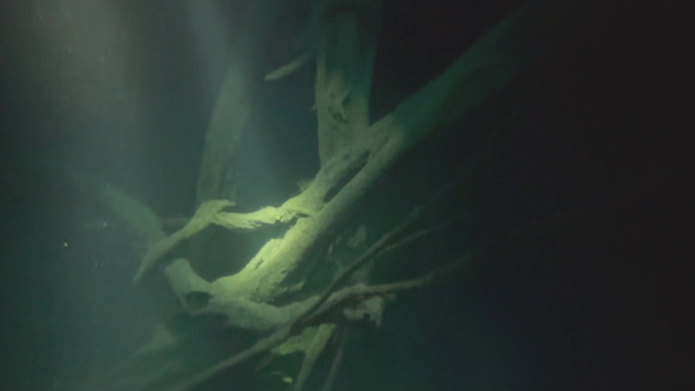 CENOTE ZAPOTE (3)