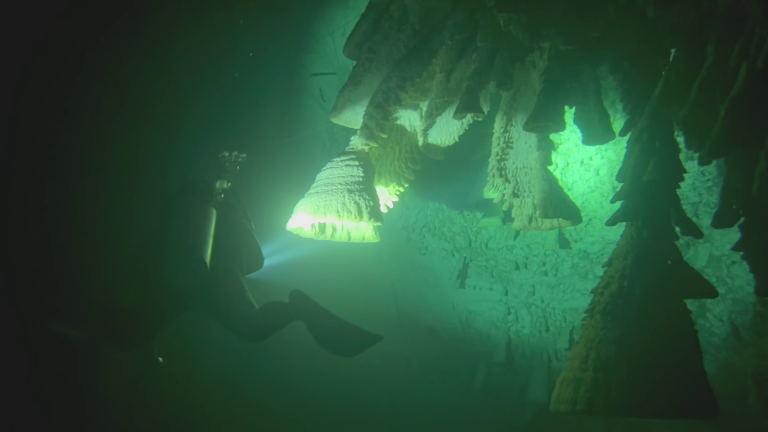 CENOTE ZAPOTE (4)