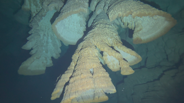 CENOTE ZAPOTE (5)